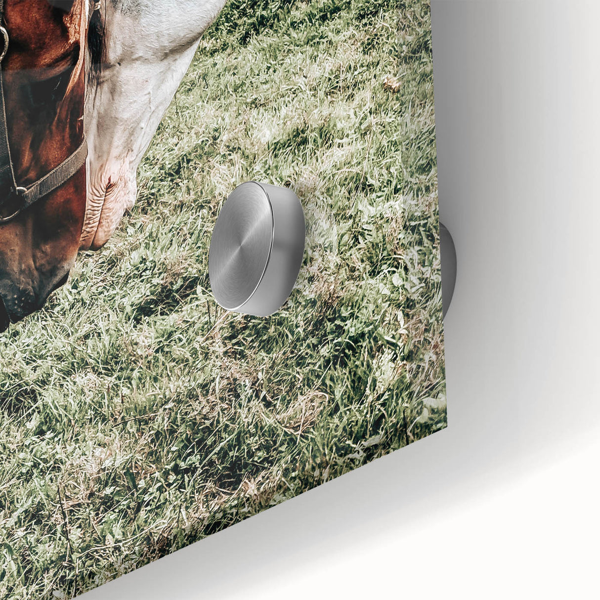Farmhouse Wall Art with Horses – Rustic Farmhouse Decor, Country Style