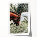 Farmhouse Wall Art with Horses – Rustic Farmhouse Decor, Country Style