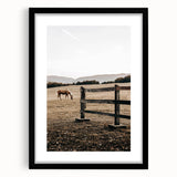 Rustic Farmhouse Wall Art - Grazing Horse Country Scene Decor
