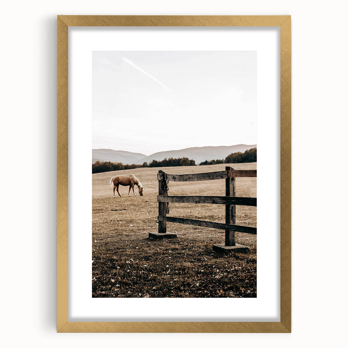 Rustic Farmhouse Wall Art - Grazing Horse Country Scene Decor