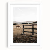 Rustic Farmhouse Wall Art - Grazing Horse Country Scene Decor