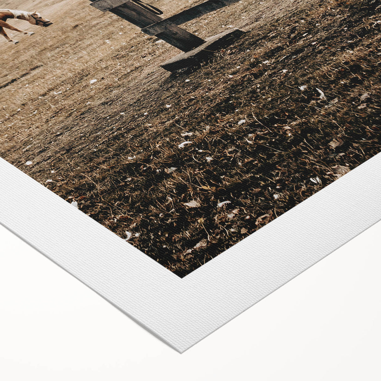 Rustic Farmhouse Wall Art - Grazing Horse Country Scene Decor