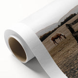 Rustic Farmhouse Wall Art - Grazing Horse Country Scene Decor