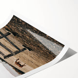 Rustic Farmhouse Wall Art - Grazing Horse Country Scene Decor