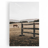 Rustic Farmhouse Wall Art - Grazing Horse Country Scene Decor