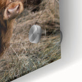 Farmhouse Wall Art - Rustic Highland Cow Print for Country Decor