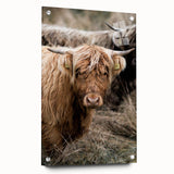 Farmhouse Wall Art - Rustic Highland Cow Print for Country Decor