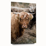 Farmhouse Wall Art - Rustic Highland Cow Print for Country Decor