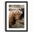 Farmhouse Wall Art - Rustic Highland Cow Print for Country Decor