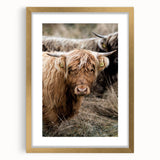 Farmhouse Wall Art - Rustic Highland Cow Print for Country Decor