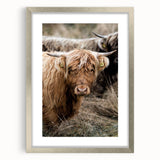 Farmhouse Wall Art - Rustic Highland Cow Print for Country Decor