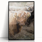 Farmhouse Wall Art - Rustic Highland Cow Print for Country Decor