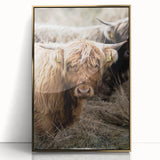 Farmhouse Wall Art - Rustic Highland Cow Print for Country Decor