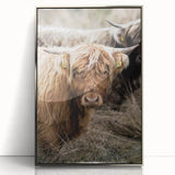 Farmhouse Wall Art - Rustic Highland Cow Print for Country Decor