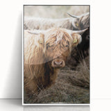 Farmhouse Wall Art - Rustic Highland Cow Print for Country Decor