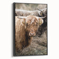 Farmhouse Wall Art - Rustic Highland Cow Print for Country Decor
