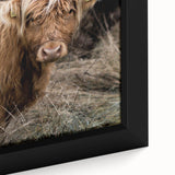 Farmhouse Wall Art - Rustic Highland Cow Print for Country Decor