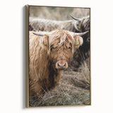 Farmhouse Wall Art - Rustic Highland Cow Print for Country Decor