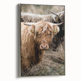 Farmhouse Wall Art - Rustic Highland Cow Print for Country Decor