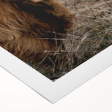 Farmhouse Wall Art - Rustic Highland Cow Print for Country Decor