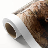 Farmhouse Wall Art - Rustic Highland Cow Print for Country Decor