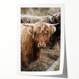 Farmhouse Wall Art - Rustic Highland Cow Print for Country Decor