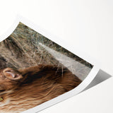 Farmhouse Wall Art - Rustic Highland Cow Print for Country Decor