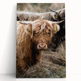 Farmhouse Wall Art - Rustic Highland Cow Print for Country Decor