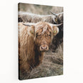 Farmhouse Wall Art - Rustic Highland Cow Print for Country Decor