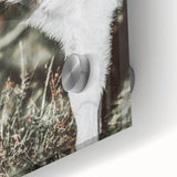 Farmhouse Wall Art - Baby Calf Rustic Print for Country Decor