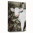 Farmhouse Wall Art - Baby Calf Rustic Print for Country Decor