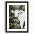 Farmhouse Wall Art - Baby Calf Rustic Print for Country Decor