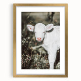 Farmhouse Wall Art - Baby Calf Rustic Print for Country Decor