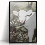 Farmhouse Wall Art - Baby Calf Rustic Print for Country Decor