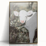 Farmhouse Wall Art - Baby Calf Rustic Print for Country Decor
