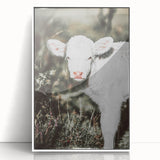 Farmhouse Wall Art - Baby Calf Rustic Print for Country Decor