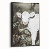 Farmhouse Wall Art - Baby Calf Rustic Print for Country Decor