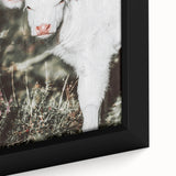 Farmhouse Wall Art - Baby Calf Rustic Print for Country Decor