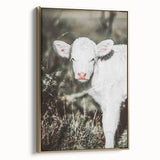 Farmhouse Wall Art - Baby Calf Rustic Print for Country Decor
