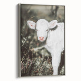 Farmhouse Wall Art - Baby Calf Rustic Print for Country Decor