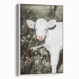 Farmhouse Wall Art - Baby Calf Rustic Print for Country Decor
