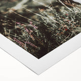 Farmhouse Wall Art - Baby Calf Rustic Print for Country Decor