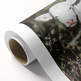 Farmhouse Wall Art - Baby Calf Rustic Print for Country Decor