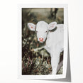 Farmhouse Wall Art - Baby Calf Rustic Print for Country Decor