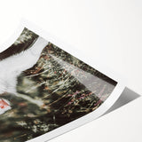 Farmhouse Wall Art - Baby Calf Rustic Print for Country Decor