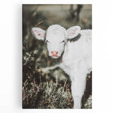 Farmhouse Wall Art - Baby Calf Rustic Print for Country Decor