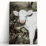 Farmhouse Wall Art - Baby Calf Rustic Print for Country Decor
