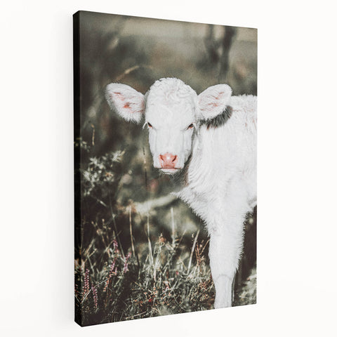 Farmhouse Wall Art - Baby Calf Rustic Print for Country Decor