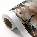 Farmhouse Wall Art - Two Horses Rustic Country Decor for Farmhouse Homes