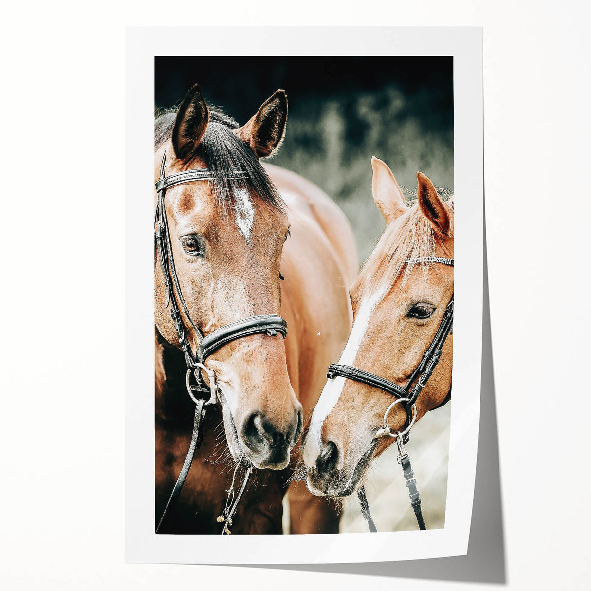 Farmhouse Wall Art - Two Horses Rustic Country Decor for Farmhouse Homes